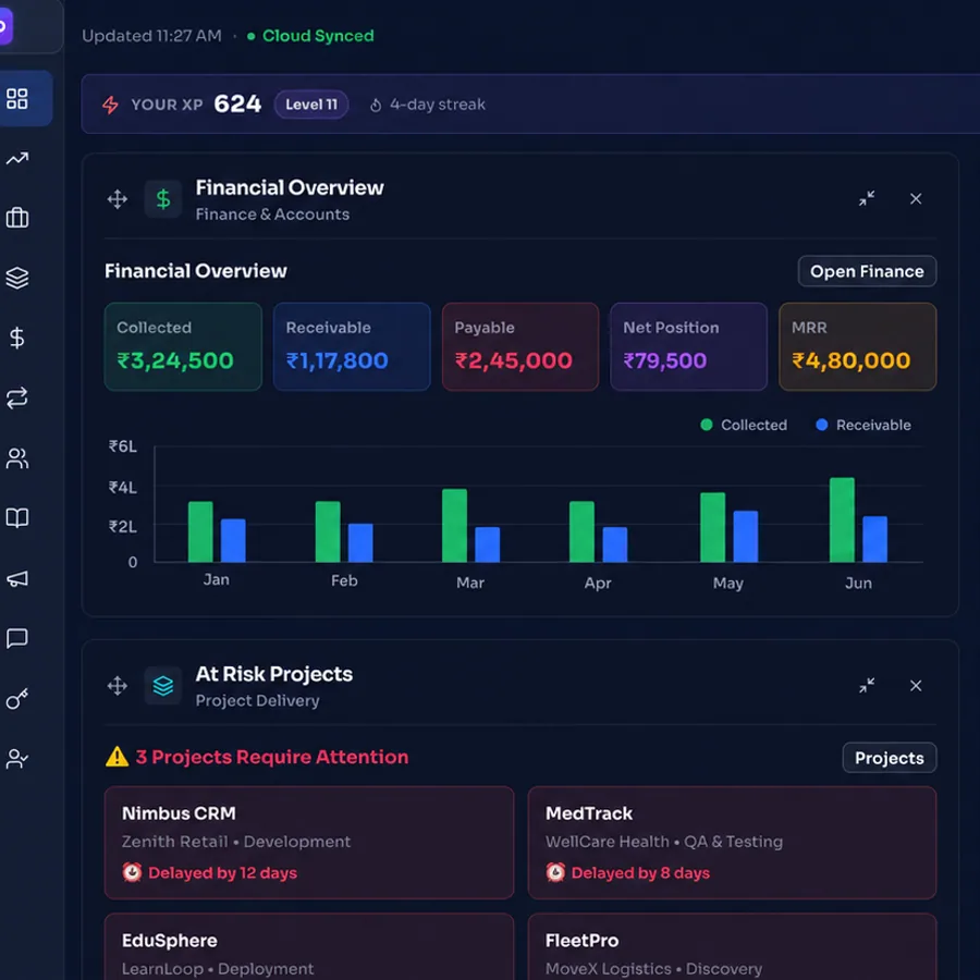 The MIS executive dashboard with the financial overview and at-risk projects